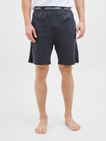 JACK & JONES Normalny krój Spodnie 'JACOMAHA' w kolorze niebieski: przód