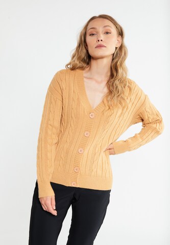 RISA Knit Cardigan 'Teylon' in Brown