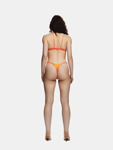 EKCENTRIK Bikini bottom 'Wild Sunrise' in Orange