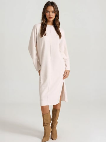 Funky Buddha Knit dress in Beige: front