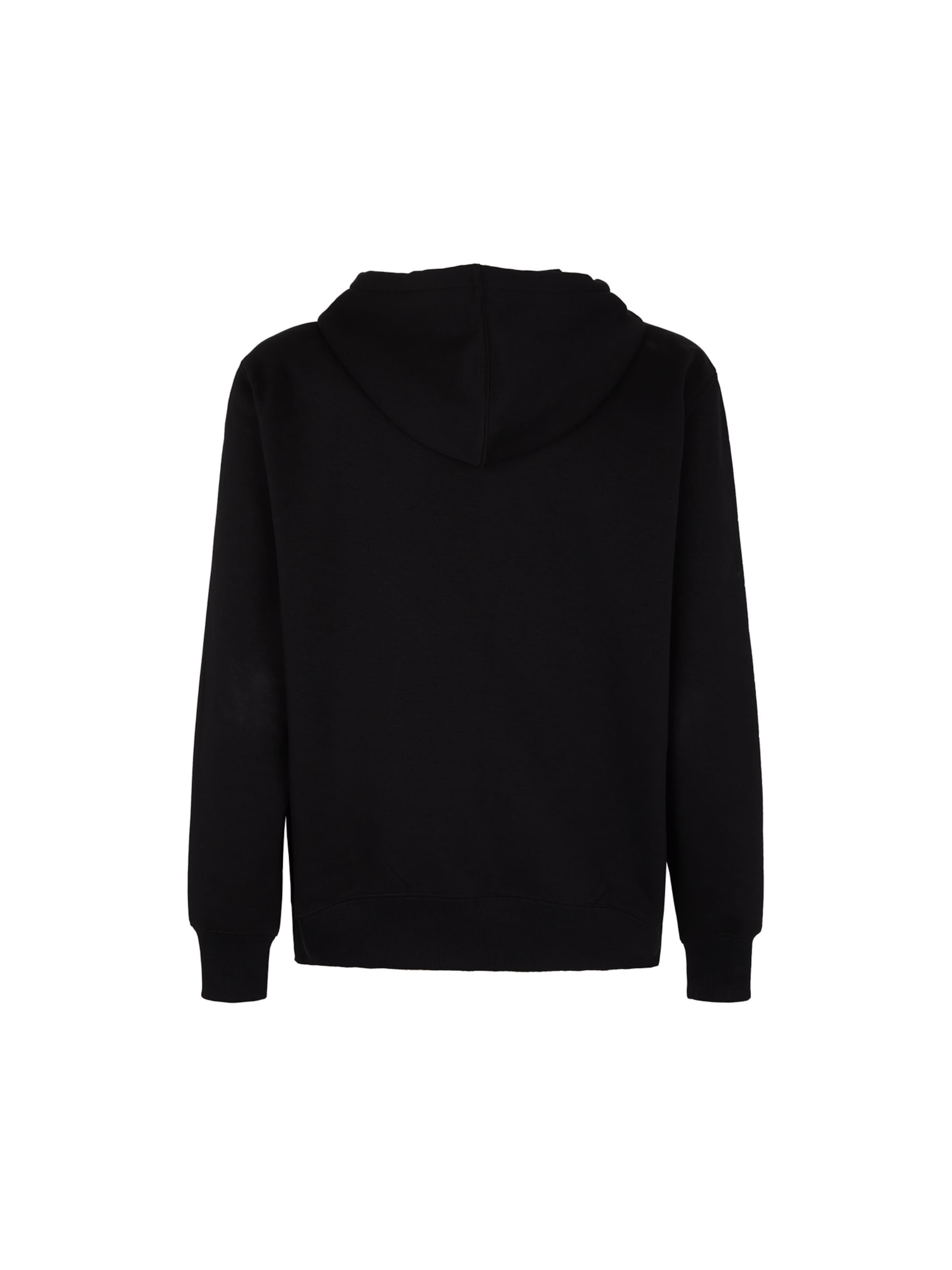 DICKIES Bluza rozpinana 'SUMMERDALE' w kolorze czarny