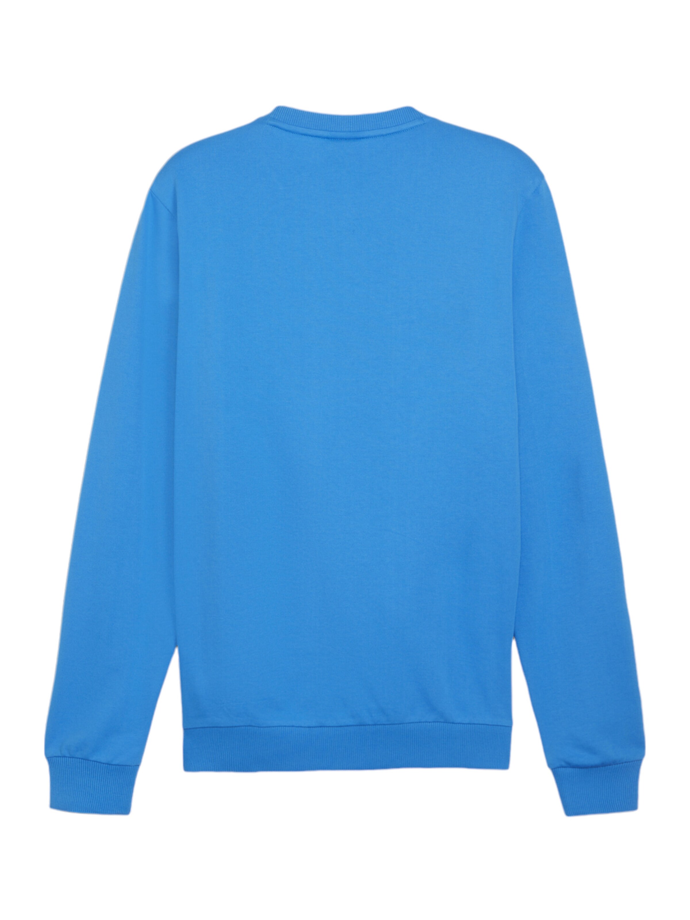 PUMA Sportsweatshirt 'TeamGoal' in Blau