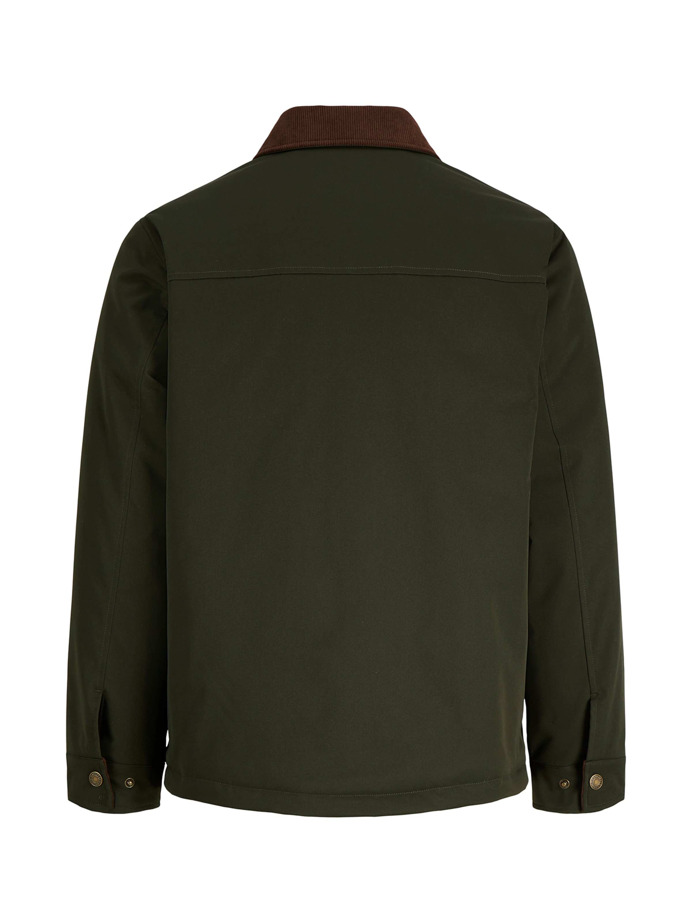 Veste mi-saison 'JORNORREBRO' Jack & Jones Plus en vert