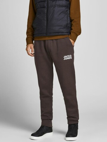 JACK & JONES Tapered Pants in Brown: front