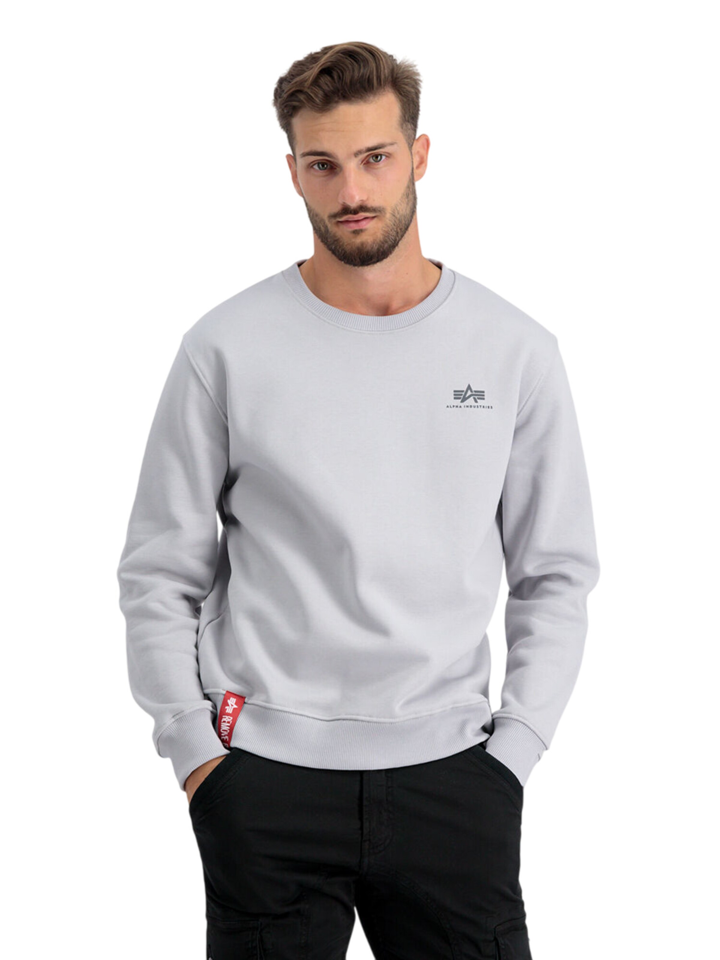 ALPHA INDUSTRIES Sweatshirt 'Basic Small Logo' in Grey