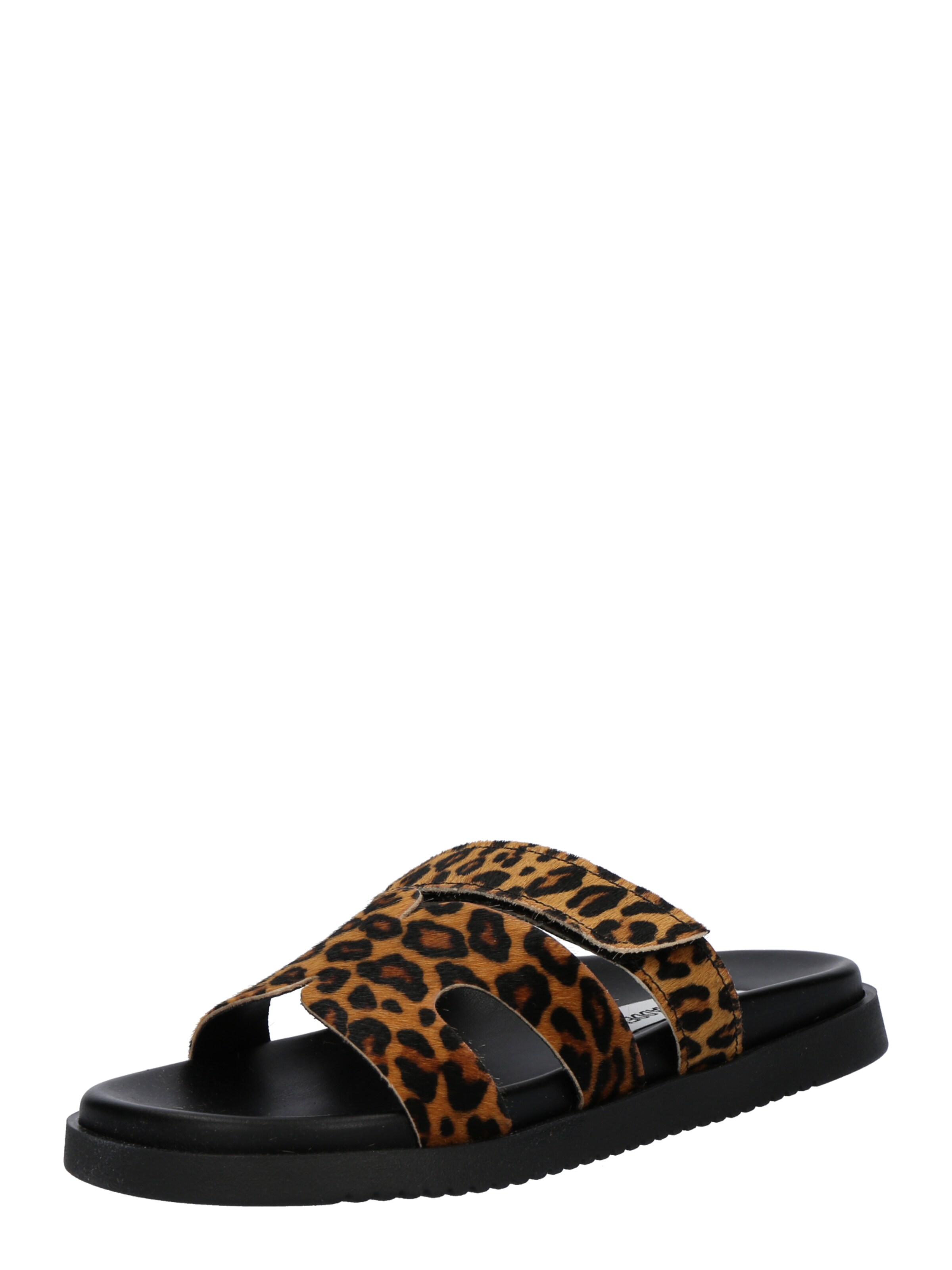 STEVE MADDEN Чехли 'Missile-L' в кафяво: отпред