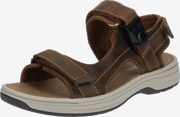 Sandales CLARKS en marron : devant