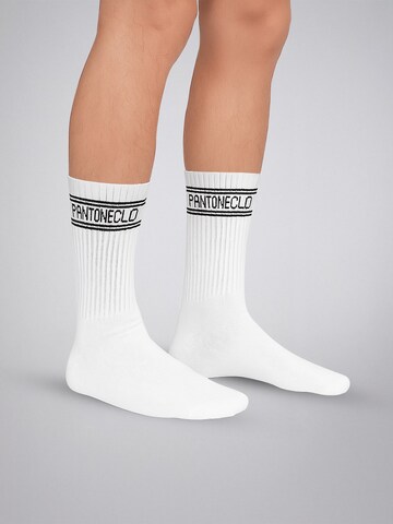 Calzino 'Pantoneclo Men’s Socks' di PANTONECLO in bianco