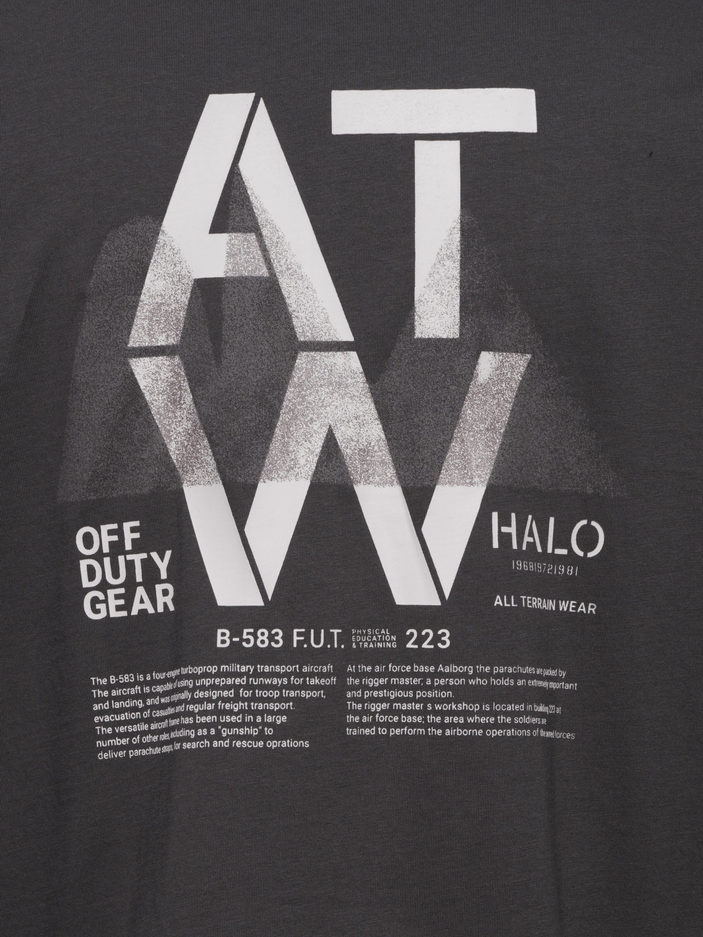T-Shirt HALO en gris