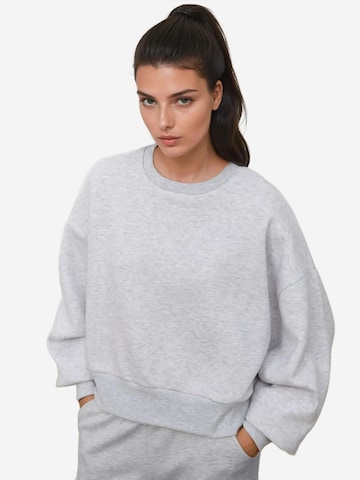 Sweat-shirt 'Sweatshirts' Hiccup en gris : devant