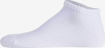 Polo Ralph Lauren Socks in White