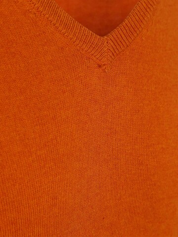 Steppin' out Sweater in Orange