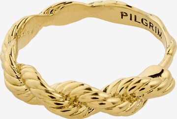 Pilgrim Ring 'ANNIKA' in Gold: predná strana