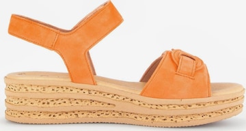 GABOR Sandals in Orange