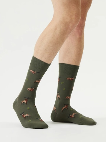 Von Jungfeld Socks 'Best of Icons' in Green