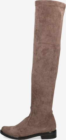 CAPRICE Over the Knee Boots in Brown