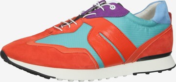 Sneaker bassa di Högl in colori misti: frontale