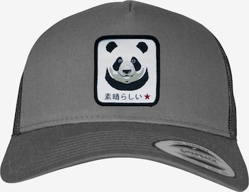 F4NT4STIC Cap in Grey: front