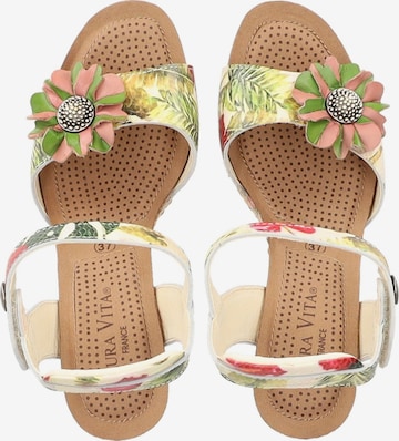 Laura Vita Sandals in Mixed colors