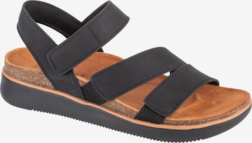 Sandales 'Skechers Lifted Comfort' SKECHERS en noir : devant