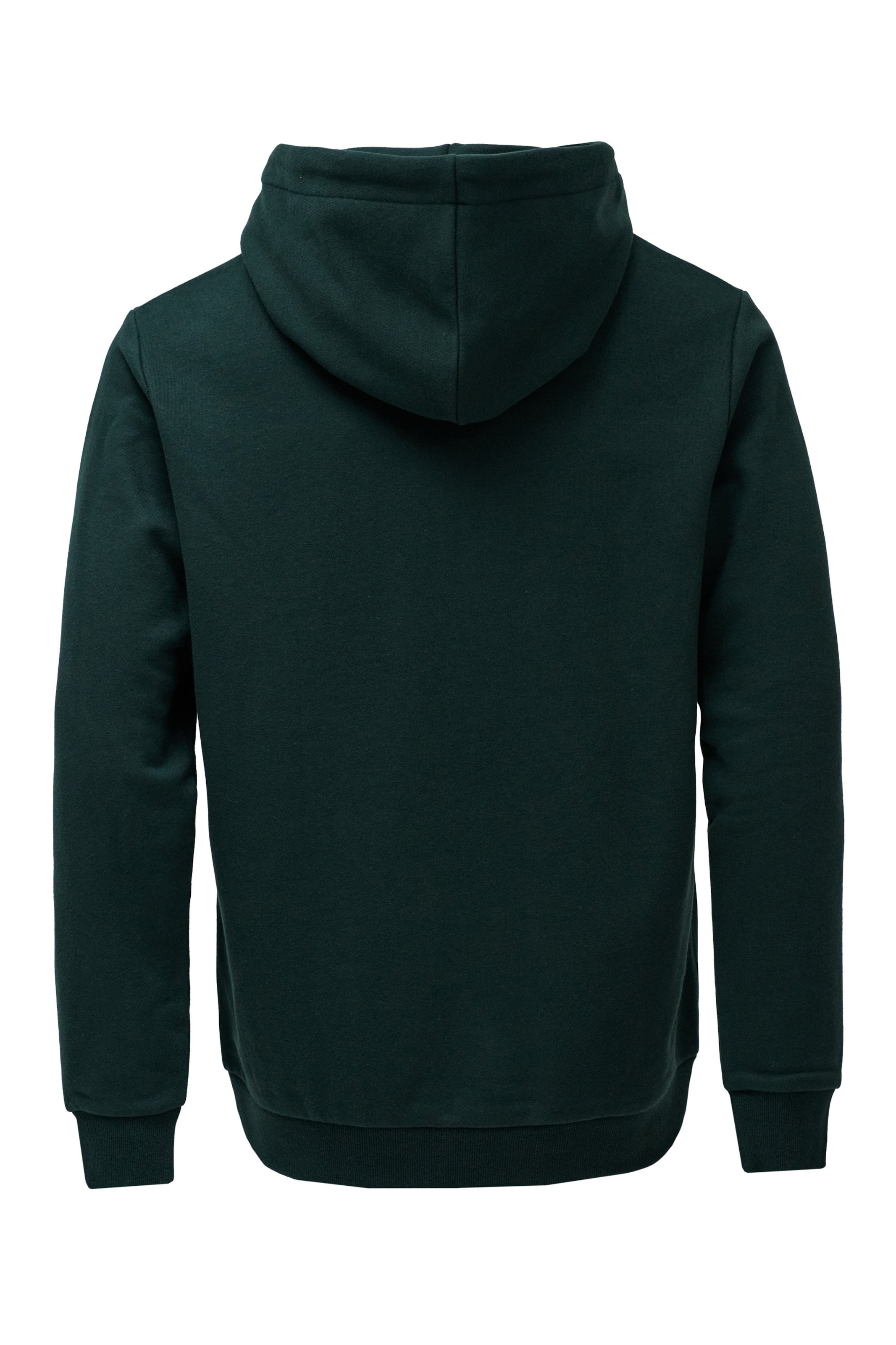 Salsa Jeans Pullover in Grün