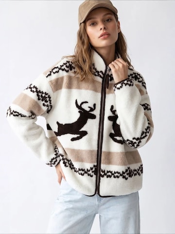 MixRaySweater majica 'Sweatshirts' - miks boja boja: prednji dio