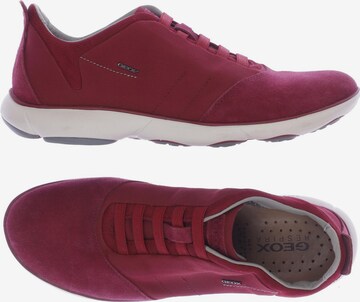 GEOX Sneakers & Trainers in 43 in Red: front