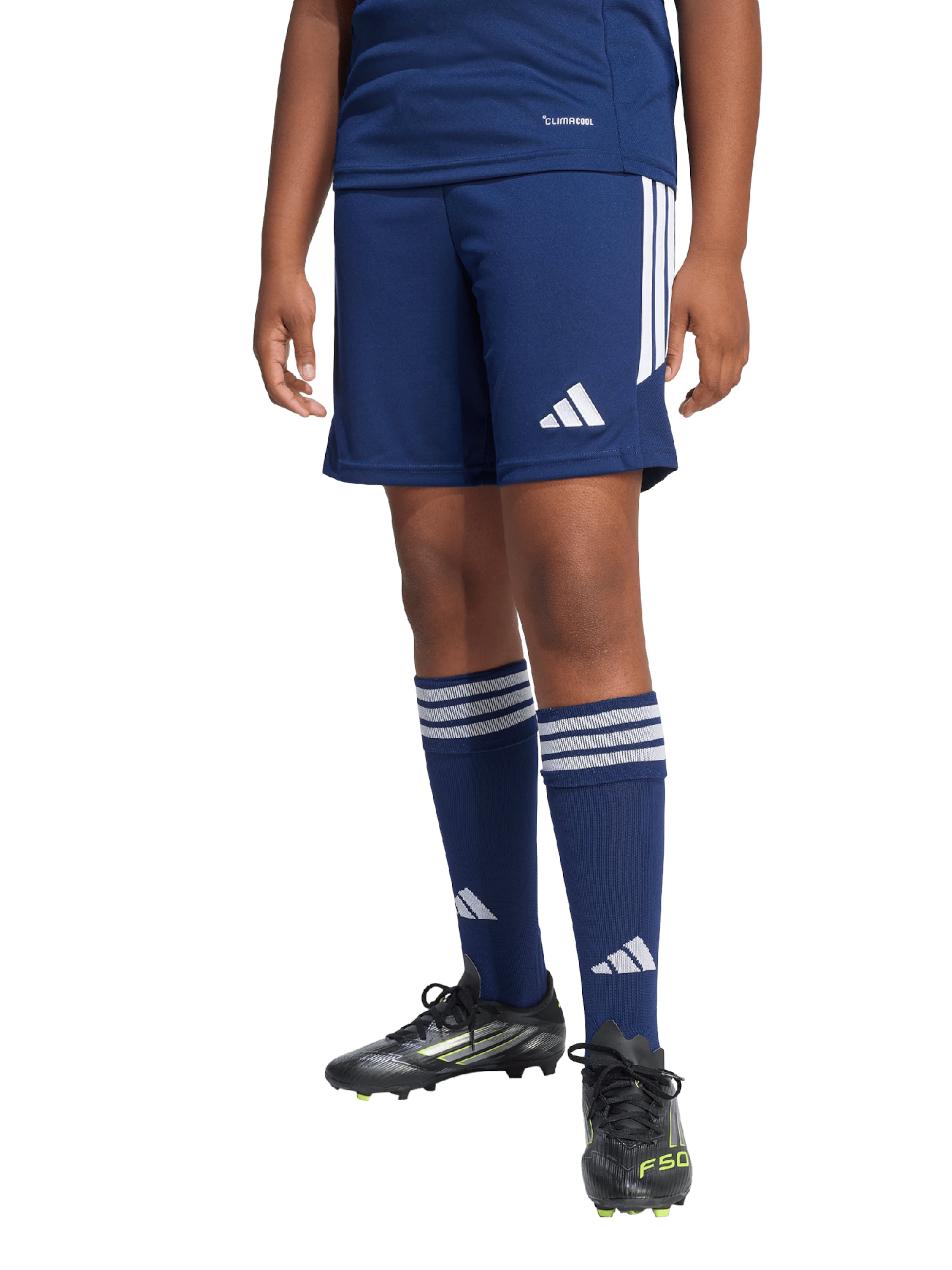 ADIDAS PERFORMANCE - regular Pantalón deportivo 'Tiro26 League' en azul: frente