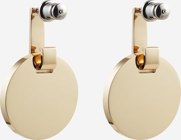 SKAGEN Earrings in Gold