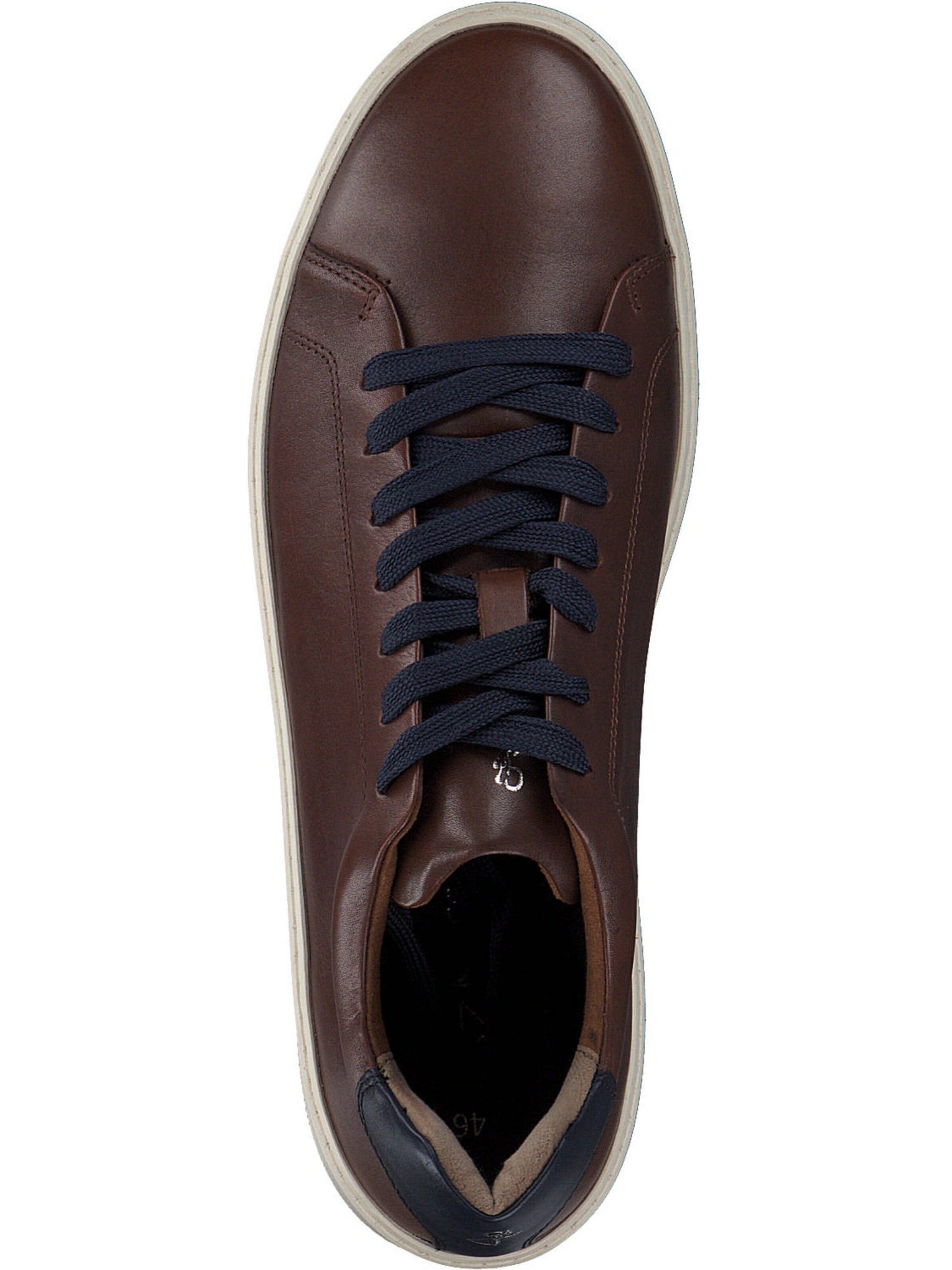 Sneaker bassa di MARCO TOZZI by GUIDO MARIA KRETSCHMER in marrone