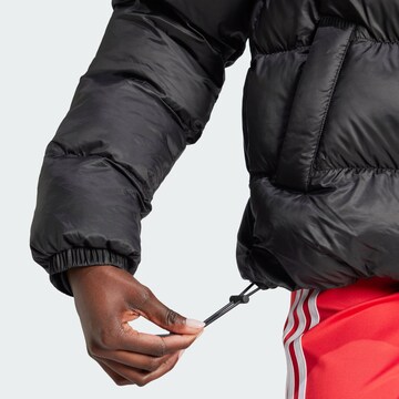 ADIDAS ORIGINALS Winter Jacket 'Adicolor' in Black