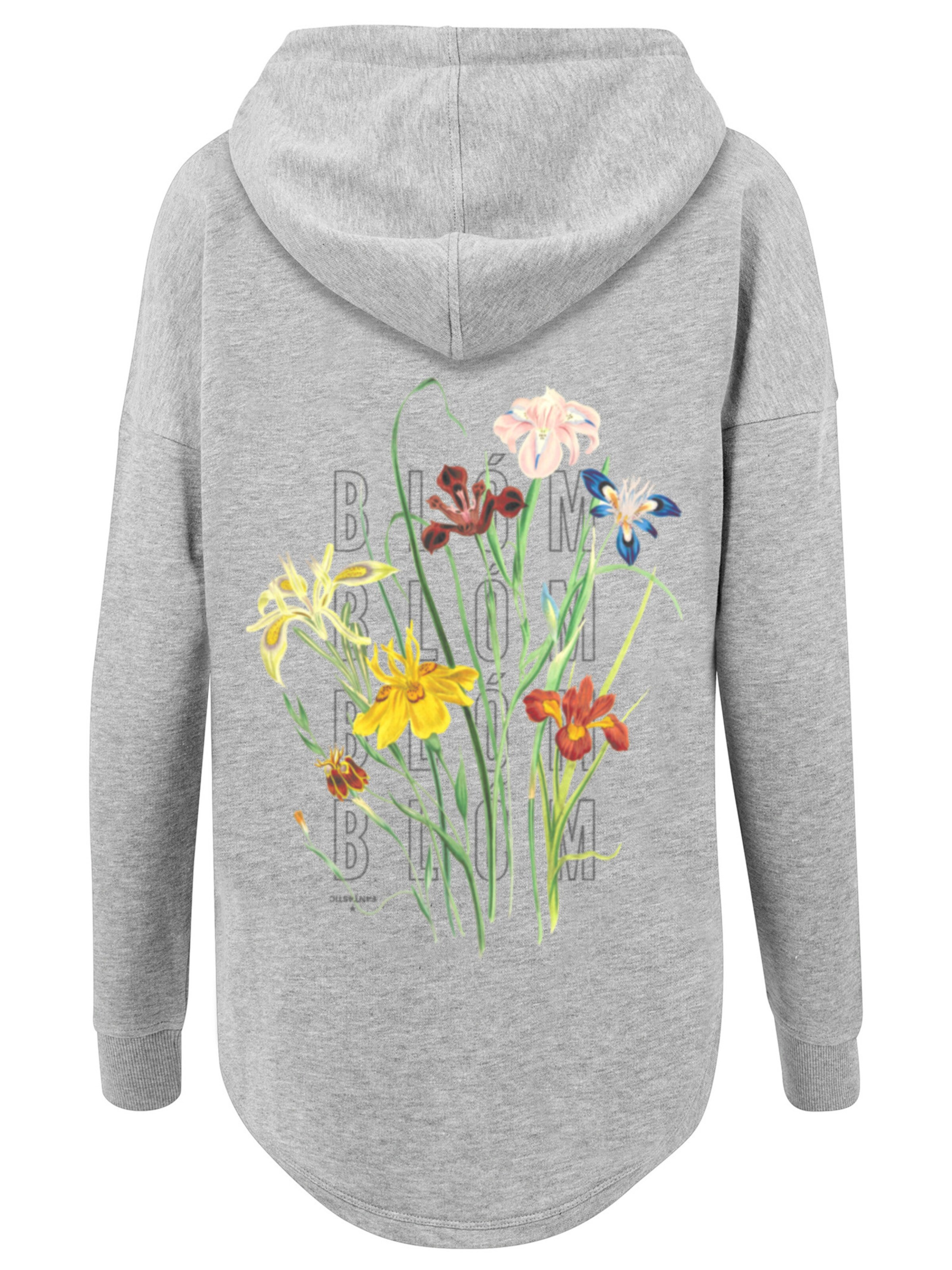 F4NT4STIC Sweatshirt in Grijs