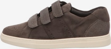 HASSIA Sneakers in Brown: front
