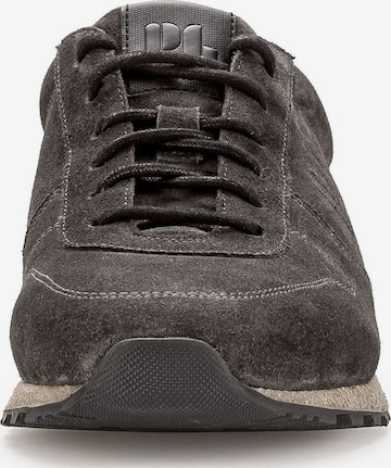 Pius Gabor Sneakers in Grey