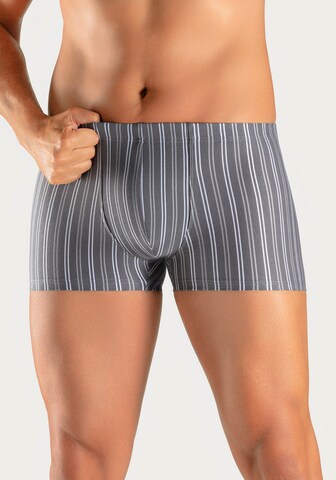 LE JOGGER Boxer shorts in Grey