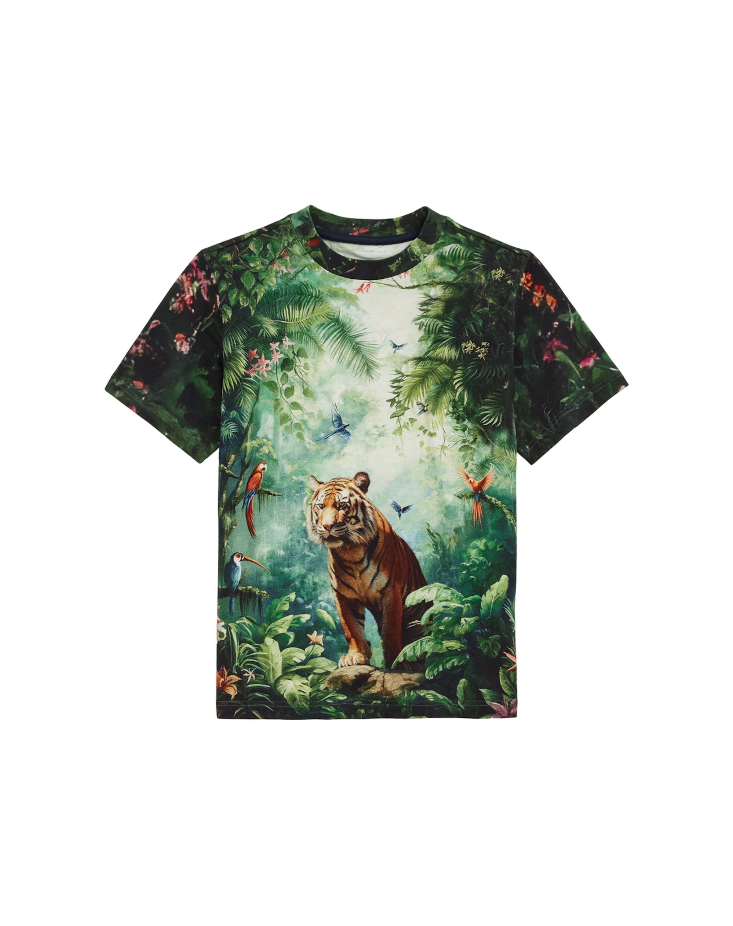 WE Fashion Shirt in Green: front