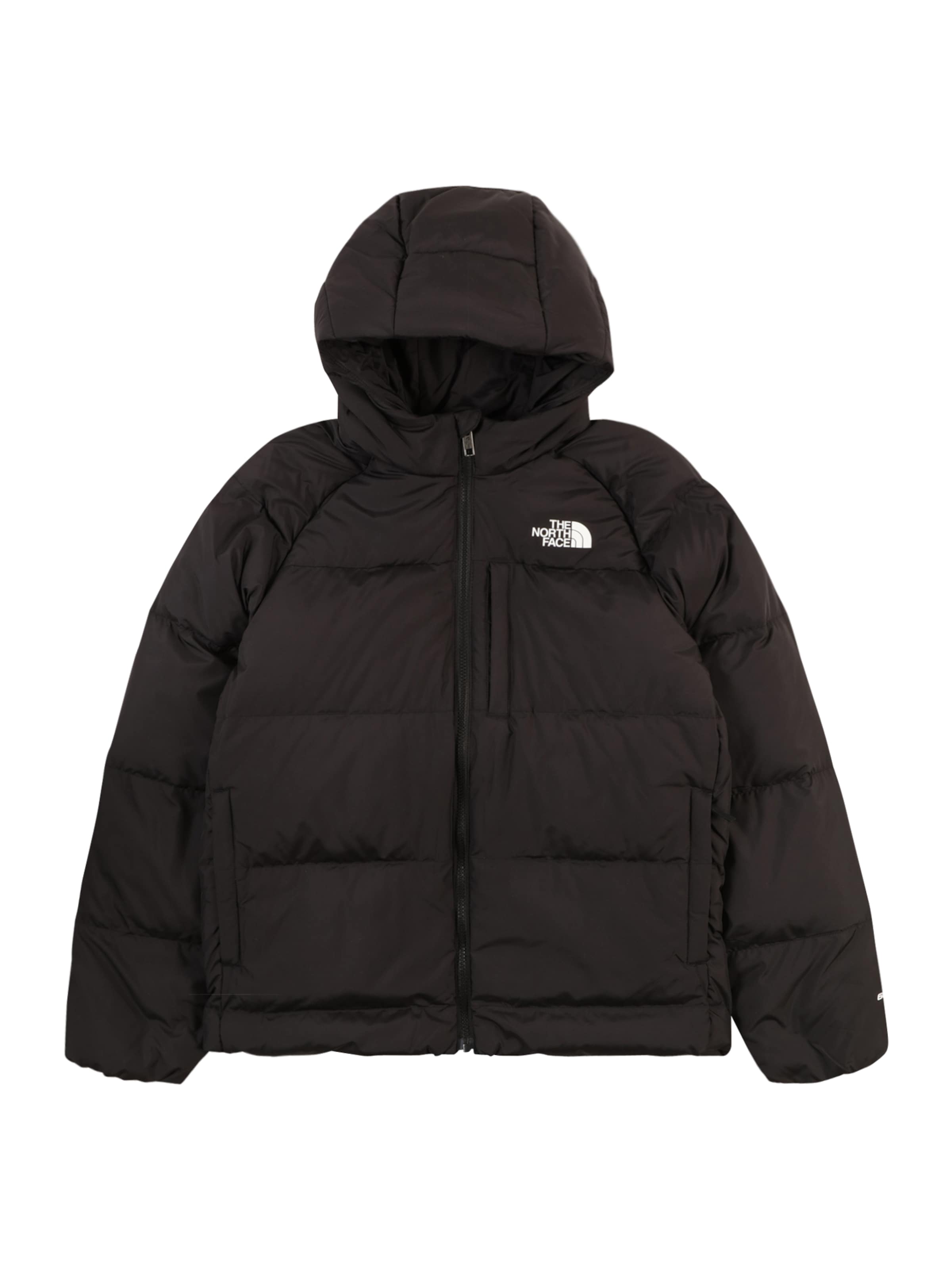 Veste outdoor THE NORTH FACE en noir : devant