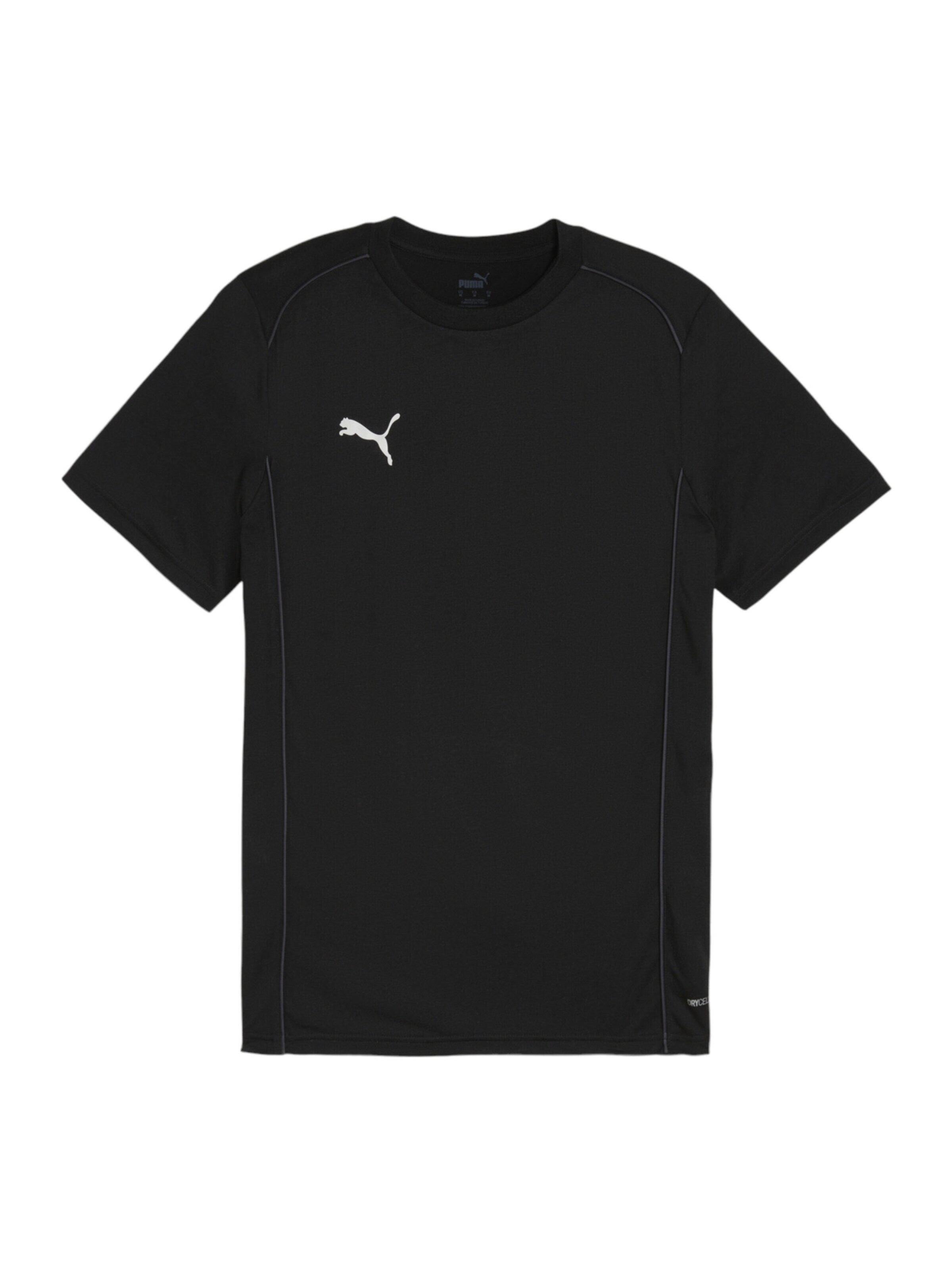 PUMA Funktionsshirt 'TeamFinal' in Schwarz: Vorderseite