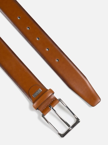 Ceinture ' REDDING ' Monti en marron