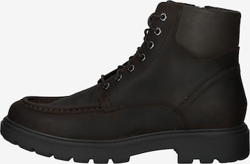 GEOX Schnürstiefel in Braun