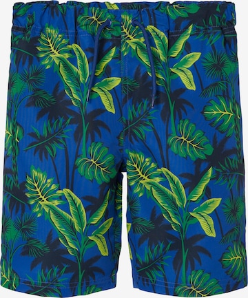 NAME IT Board Shorts in Blue: front