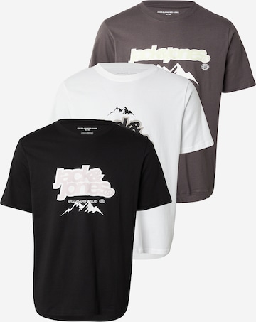 pilka JACK & JONES Marškinėliai 'JCOFLARE': priekis