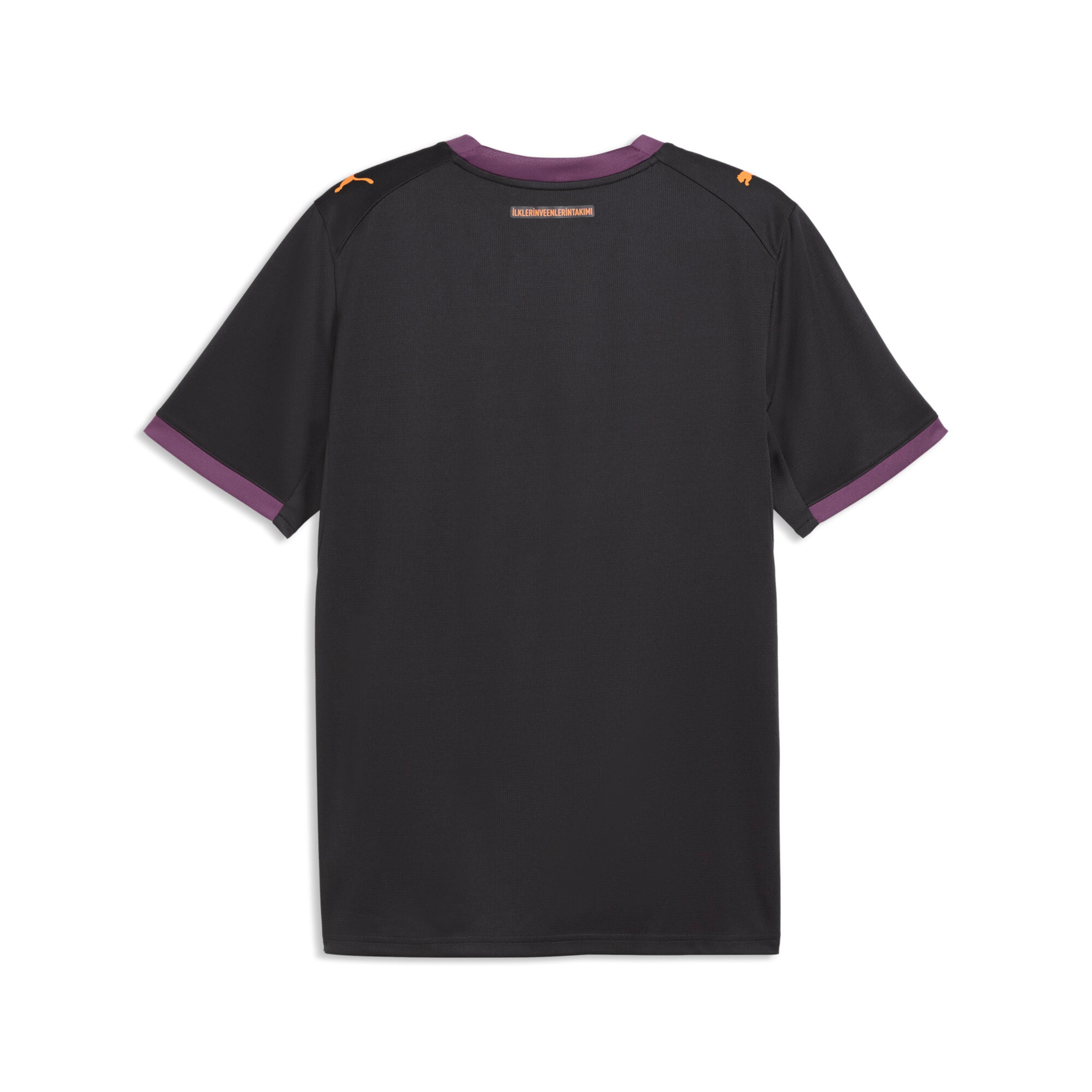 PUMA Regular Fit Fußballtrikot in Schwarz