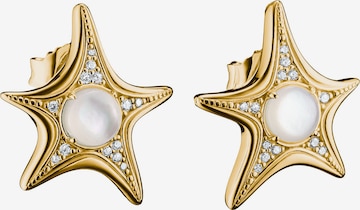 Thomas Sabo Ohrringe in Gold: Vorderseite