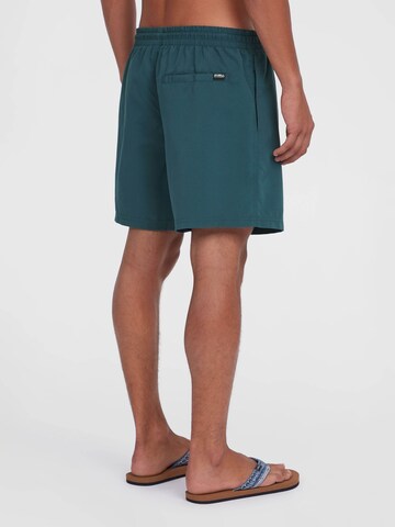Pantaloncini da bagno 'Cali 16' di O'NEILL in blu
