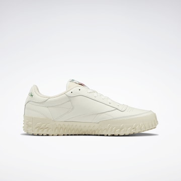 Baskets basses 'Club C' Reebok en beige