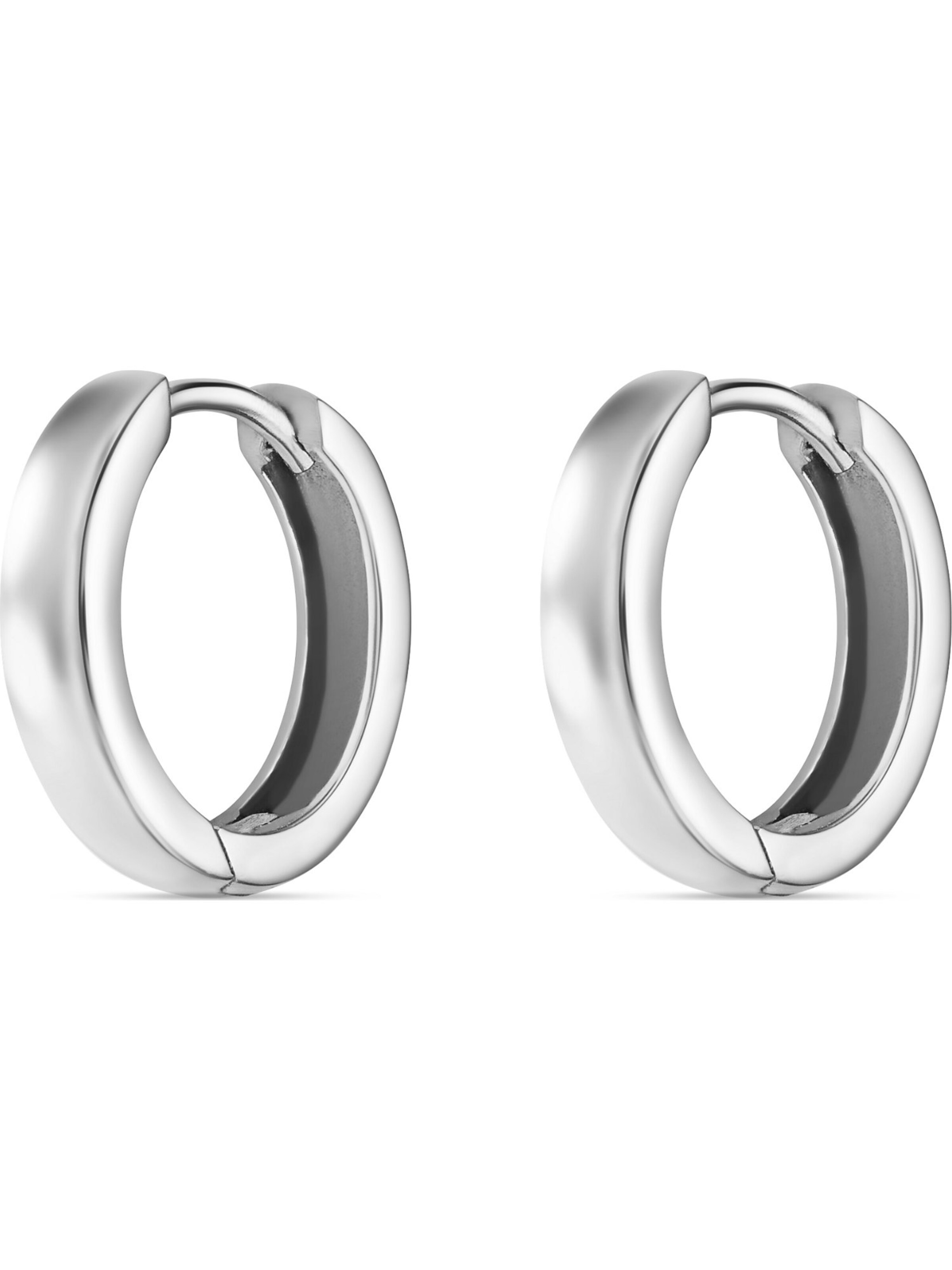 FAVS Earrings in Silver: front