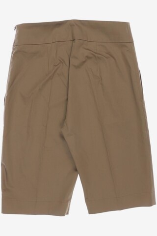 D-Exterior Shorts in XL in Brown