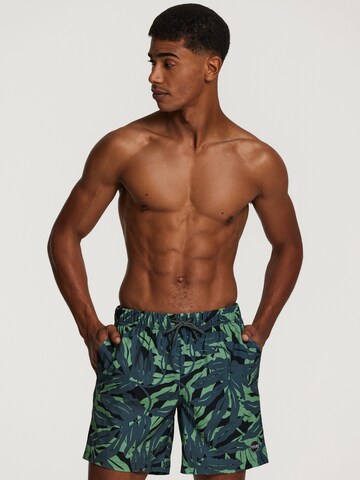 Shorts de bain 'palm cove 4-way stretch' Shiwi en noir