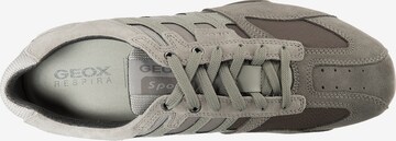 GEOX Sneakers laag in Grijs